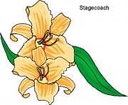 flower clipart 630909