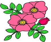 flower clipart 824341