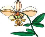 flower clipart 693049