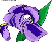 flower clipart 715827