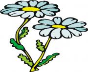 flower clipart 837394