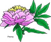 flower clipart 712811