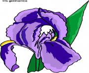 flower clipart 826410