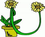 flower clipart 798172