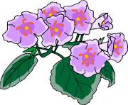 flower clipart 827786