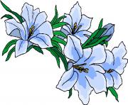 flower clipart 121894