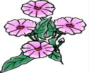 flower clipart 557907