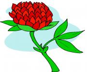 flower clipart 293063