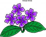 flower clipart 407218