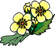 flower clipart 588875