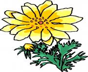 flower clipart 904654