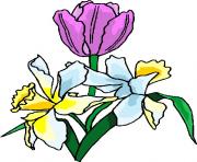 flower clipart 961106