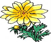 flower clipart 012157