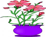 flower clipart 325059