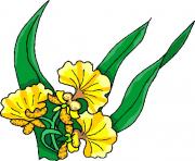 flower clipart 511058