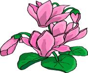 flower clipart 260592