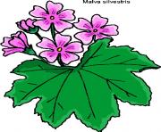 flower clipart 370219