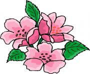 flower clipart 041349