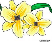 flower clipart 962064