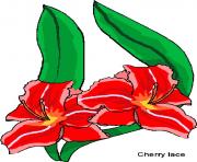 flower clipart 406047