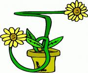 flower clipart 273611