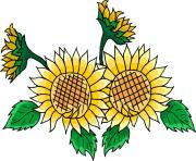 flower clipart 302761