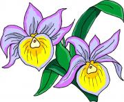 flower clipart 274191