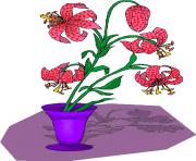 flower clipart 535818