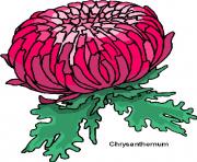 flower clipart 442251