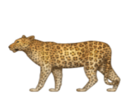 ios emoji leopard