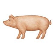 ios emoji pig