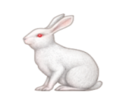 ios emoji rabbit