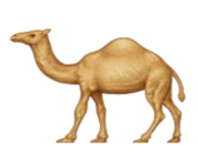 ios emoji dromedary camel