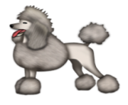 ios emoji poodle