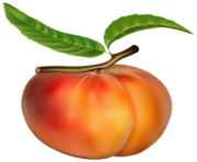 Peach PNG Clipart