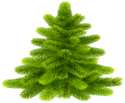 Pine Tree PNG Clip Art