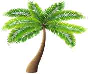 Palm Tree PNG Clip Art