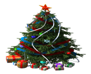 fir tree png transparent 2510