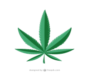 marijuana leaf cannabis weed