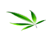 Weed Leaf Png