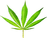 pot leaf png