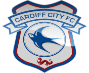 cardiff city