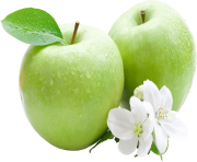 89 green apple png image