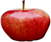 73 apple png image