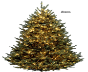 christmas tree free png image