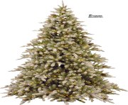 christmas tree png hd