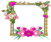 flowers tropical frame png