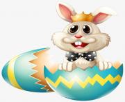 eggs rabbit cute png