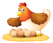 Hen with Eggs PNG Clipart