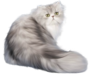 Cat PNG Clip Art